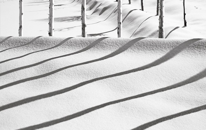 تصویری از عکس‌های سری زمستان آقای عباس کیارستمی، سایه روی برف، تمثیلی از رعایت اخلاق و عدم آزار جنسی